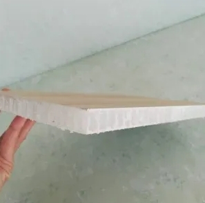 Structural Thermoplastic Skin PP Honeycomb Panel